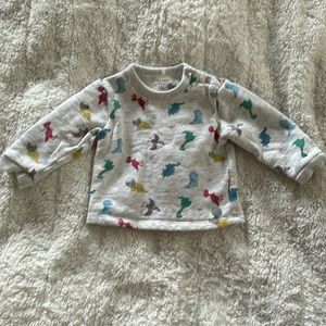 Baby Boy Sweatshirt